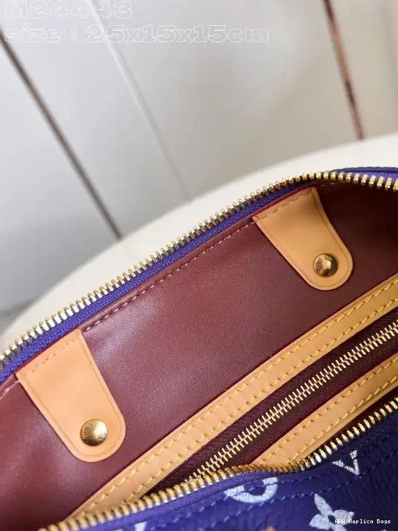 Aaa replica bags Vuitton 25 SPEEDY Louis 0603